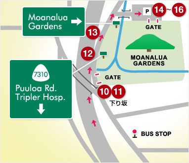 画像：モアナルア・ガーデン周辺の拡大地図