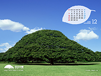 摜Fǎʐ^u̎ J_[tvC[W摜