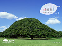 �摜�F�ǎ��ʐ^�u�����̎� �J�����_�[�t���v�C���[�W�摜