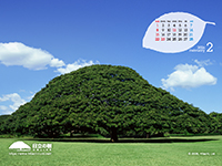 �摜�F�ǎ��ʐ^�u�����̎� �J�����_�[�t���v�C���[�W�摜