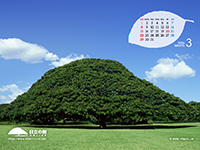 �摜�F�ǎ��ʐ^�u�����̎� �J�����_�[�t���v�C���[�W�摜